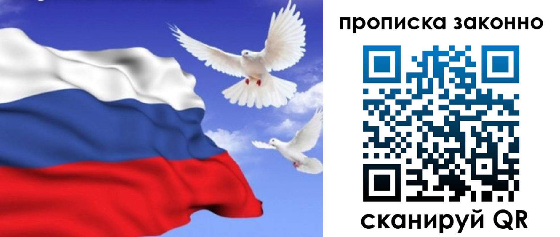 прописка в Сорске